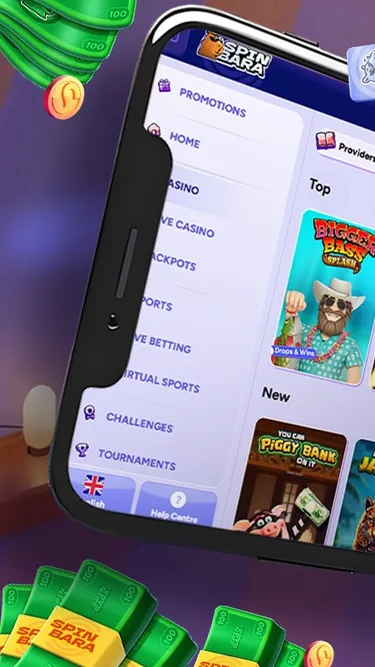 SPINBARA Screenshot